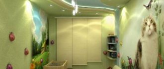 The use of drywall in the design of a children&#39;s room with photos