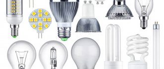 types of light bulbs